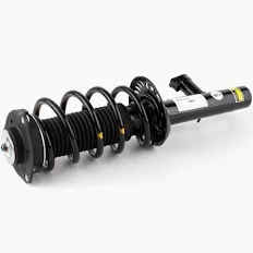 VW TIGUAN SHOCK